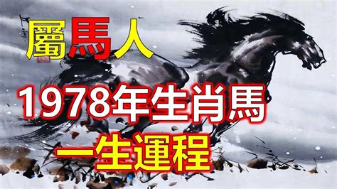 1978屬馬的男人|【1978年屬什麼生肖】屬馬的一生：揭秘1978年屬馬的命運玄。